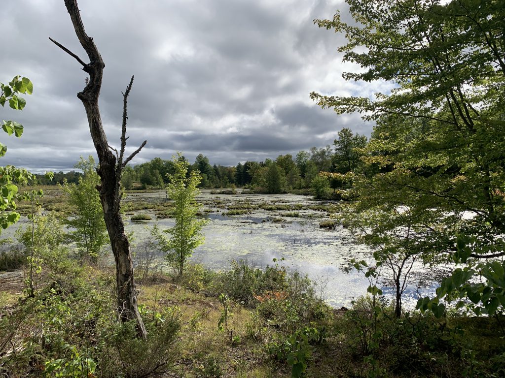 Rideau Valley Conservation Foundation